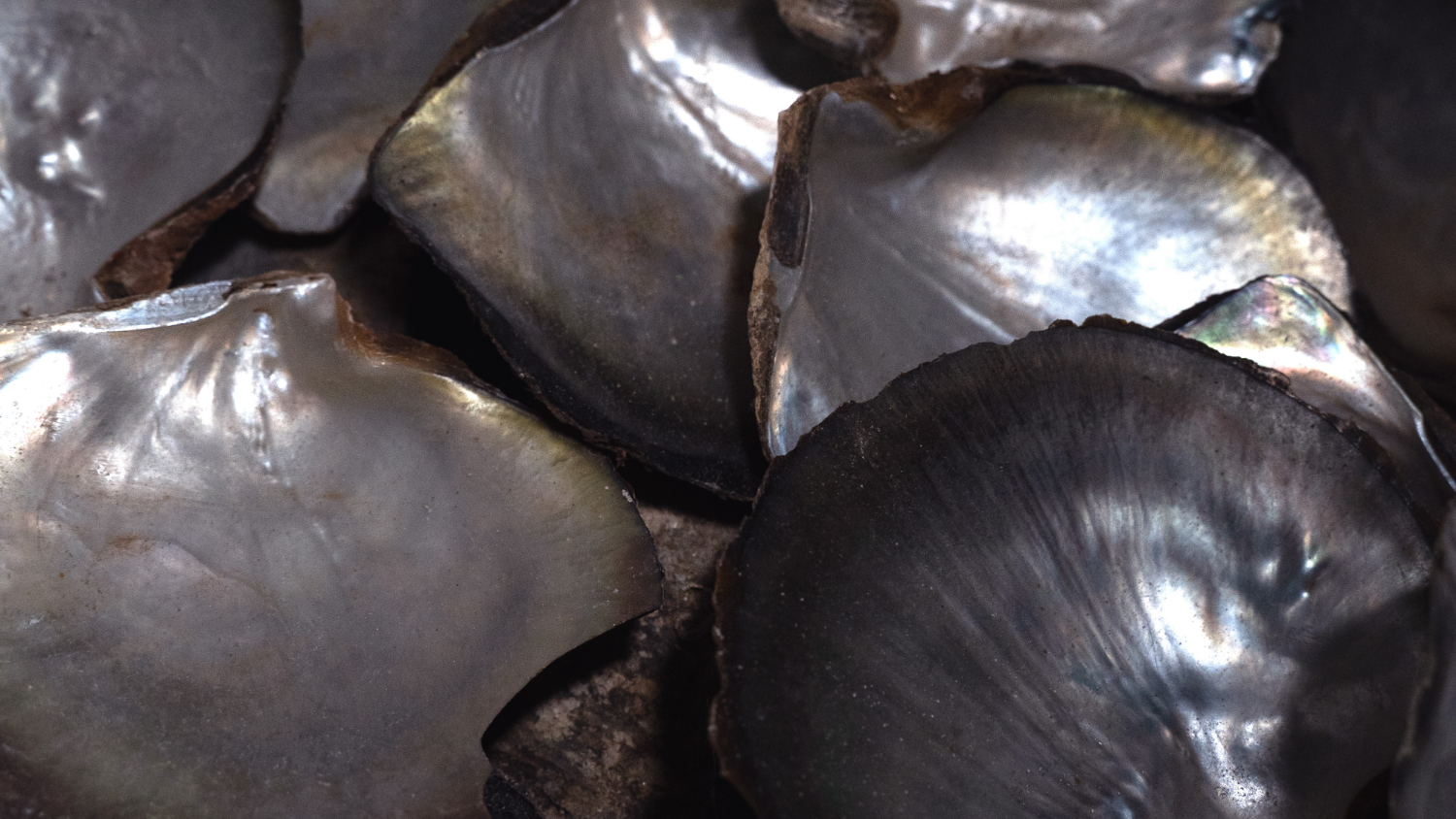 Craftsmanship - Freya Rose