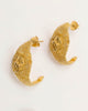 Lion Hoops