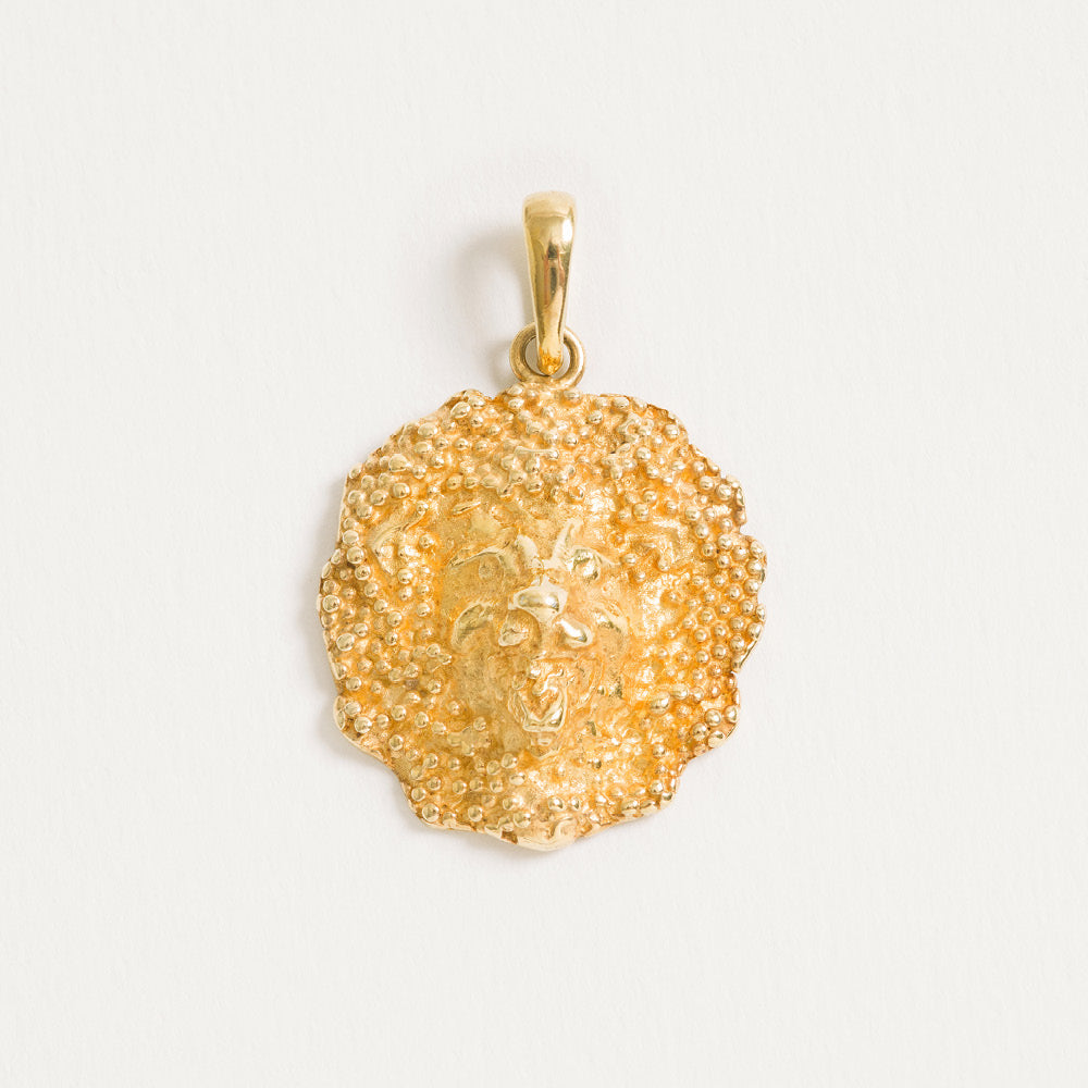 Lion pendant in 18ct gold vermeil on sterling silver with textured lion design symbolising strength.
