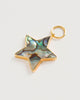 Star Paua Pendant