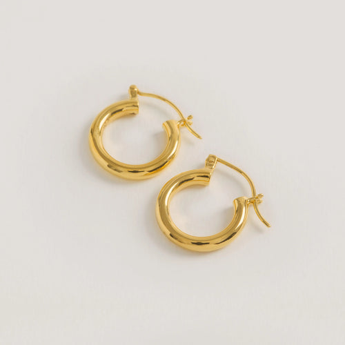 Gold Mini Hoop Earrings - Freya Rose Jewellery
